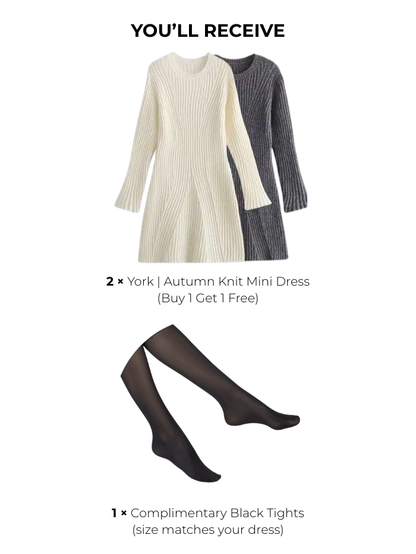 Amarenne - Autumn Sweater Mini Dress