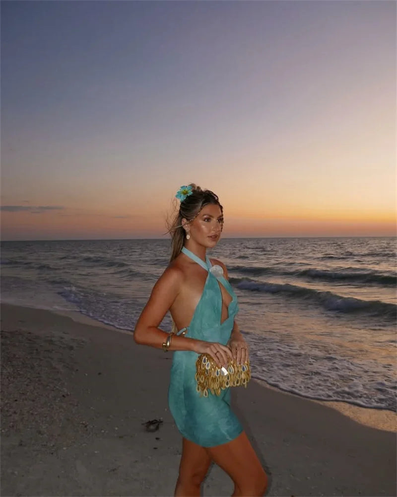 Amarenne - Shell Halter Top